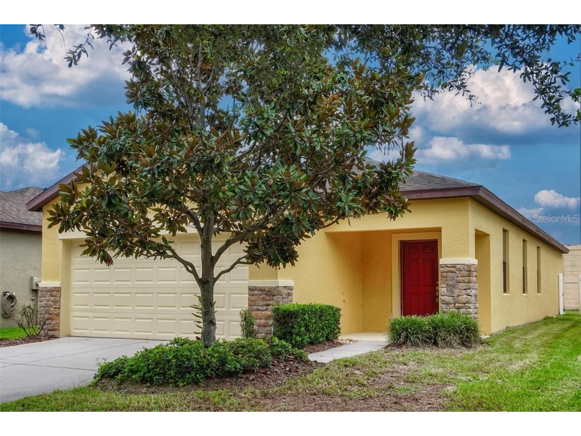 6118 Magnolia Park Boulevard Riverview FL 33578 T3461100 image1