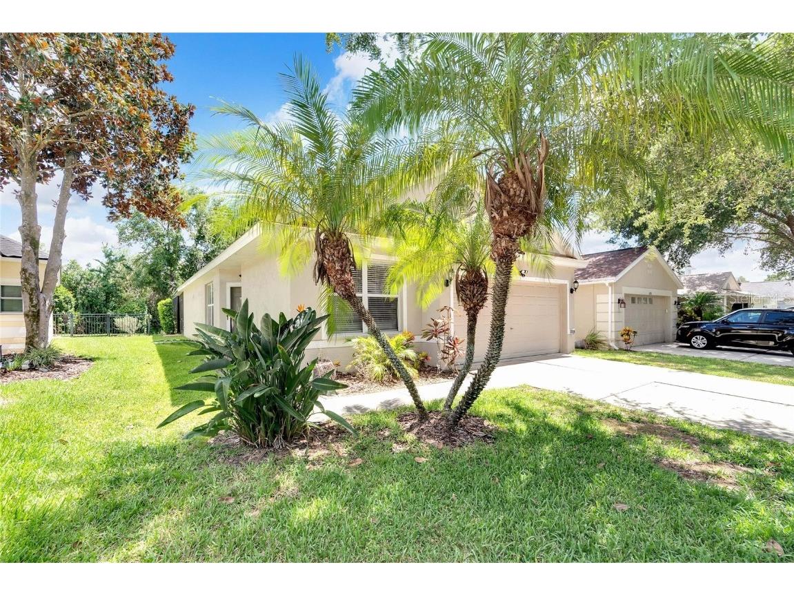 6118 Skylarkcrest Drive Lithia FL 33547 T3536502 image1