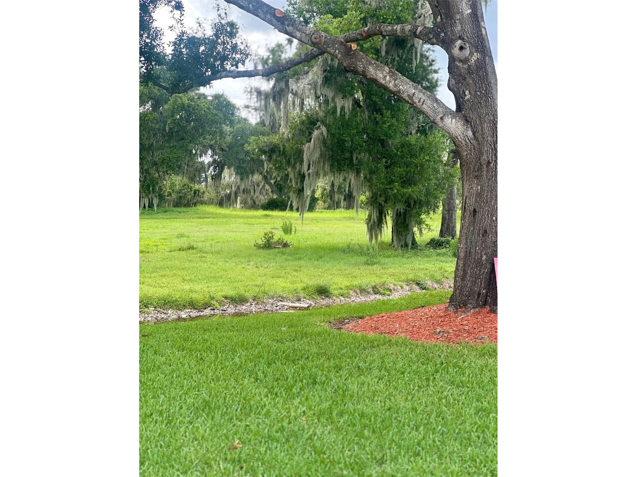 6118 Topher Trail #6118 Mulberry FL 33860 L4962014 image10
