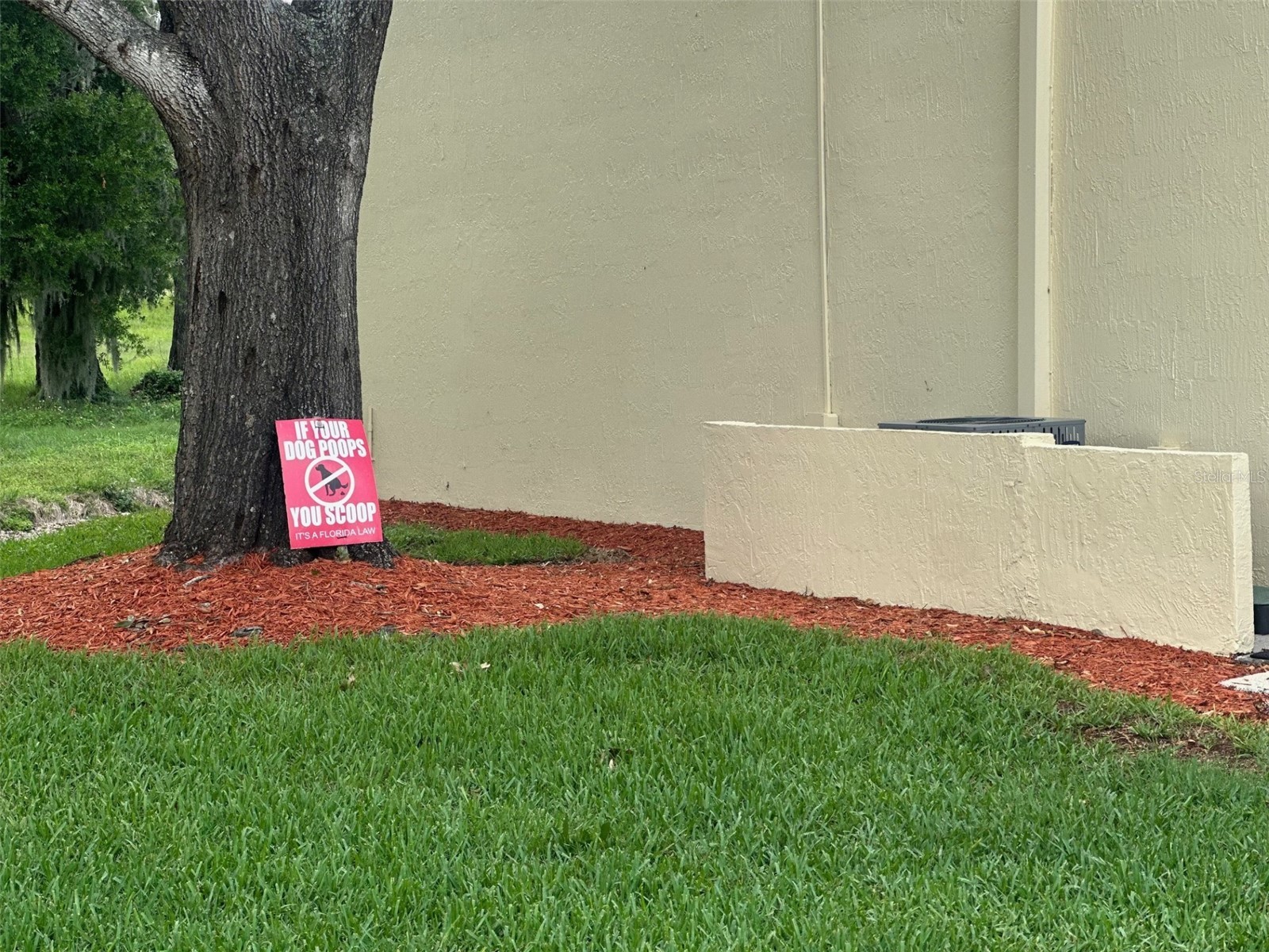 6118 Topher Trail #6118 Mulberry FL 33860 L4962014 image2