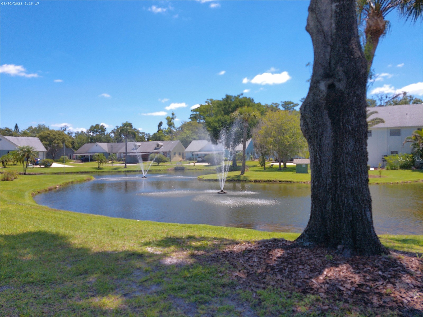 6118 Wilds Drive #0 New Port Richey FL 34653 W7886473 image11