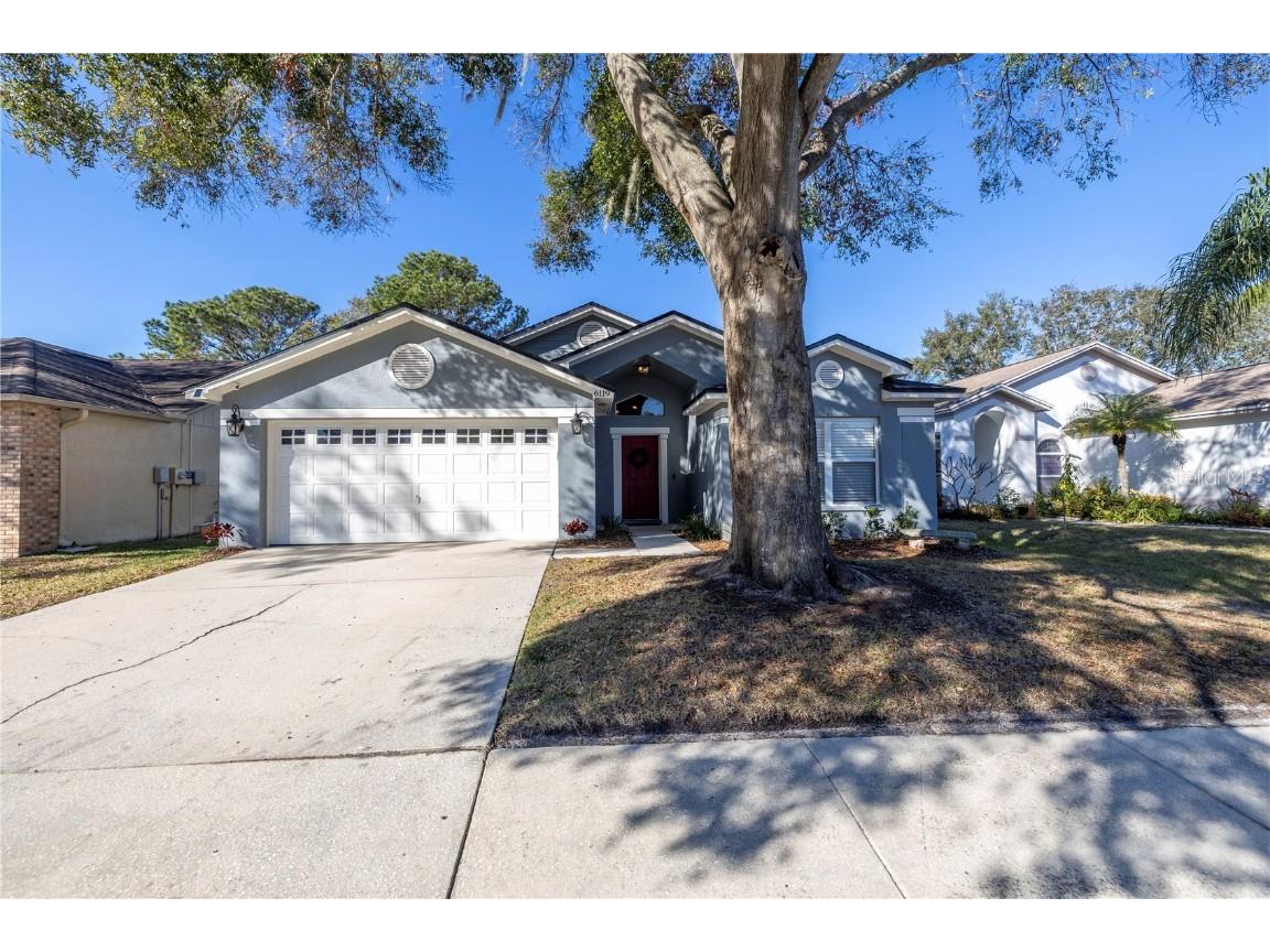 6119 Becklin Place Riverview FL 33578 TB8335848 image1