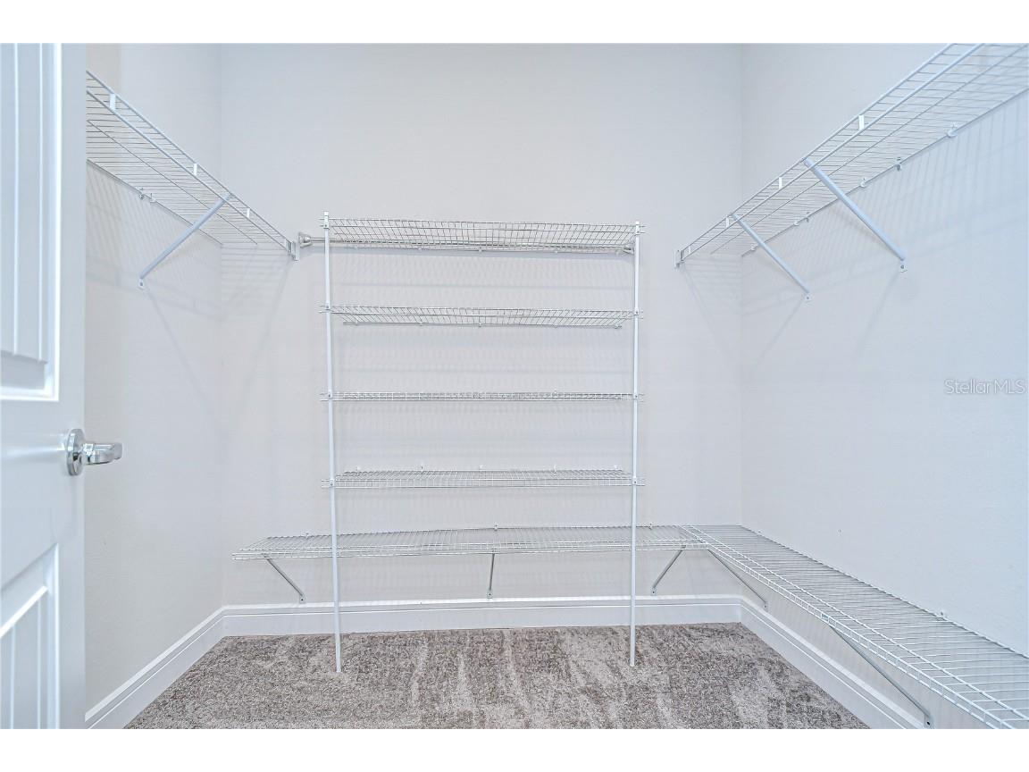 6119 Bradford Woods Drive Zephyrhills FL 33542 TB8390747 image15