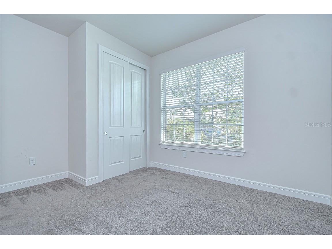 6119 Bradford Woods Drive Zephyrhills FL 33542 TB8390747 image16