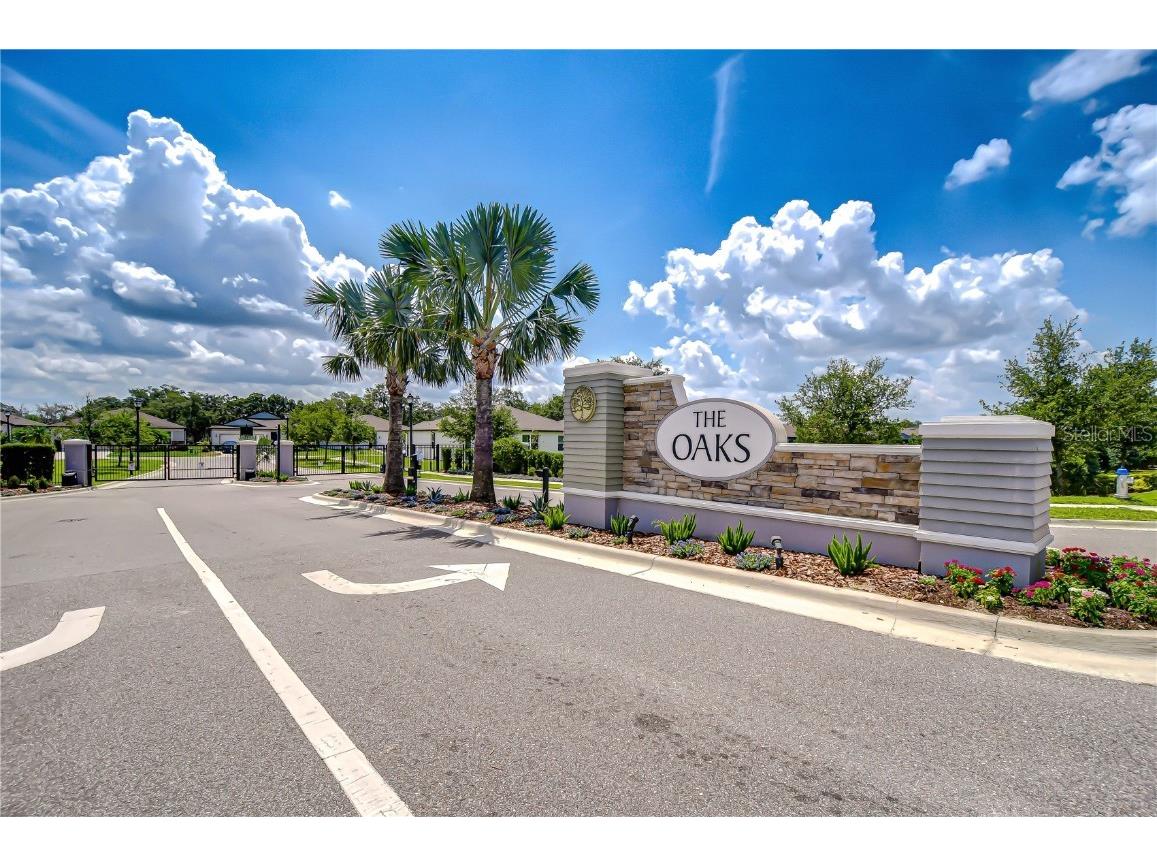 6119 Bradford Woods Drive Zephyrhills FL 33542 TB8390747 image26