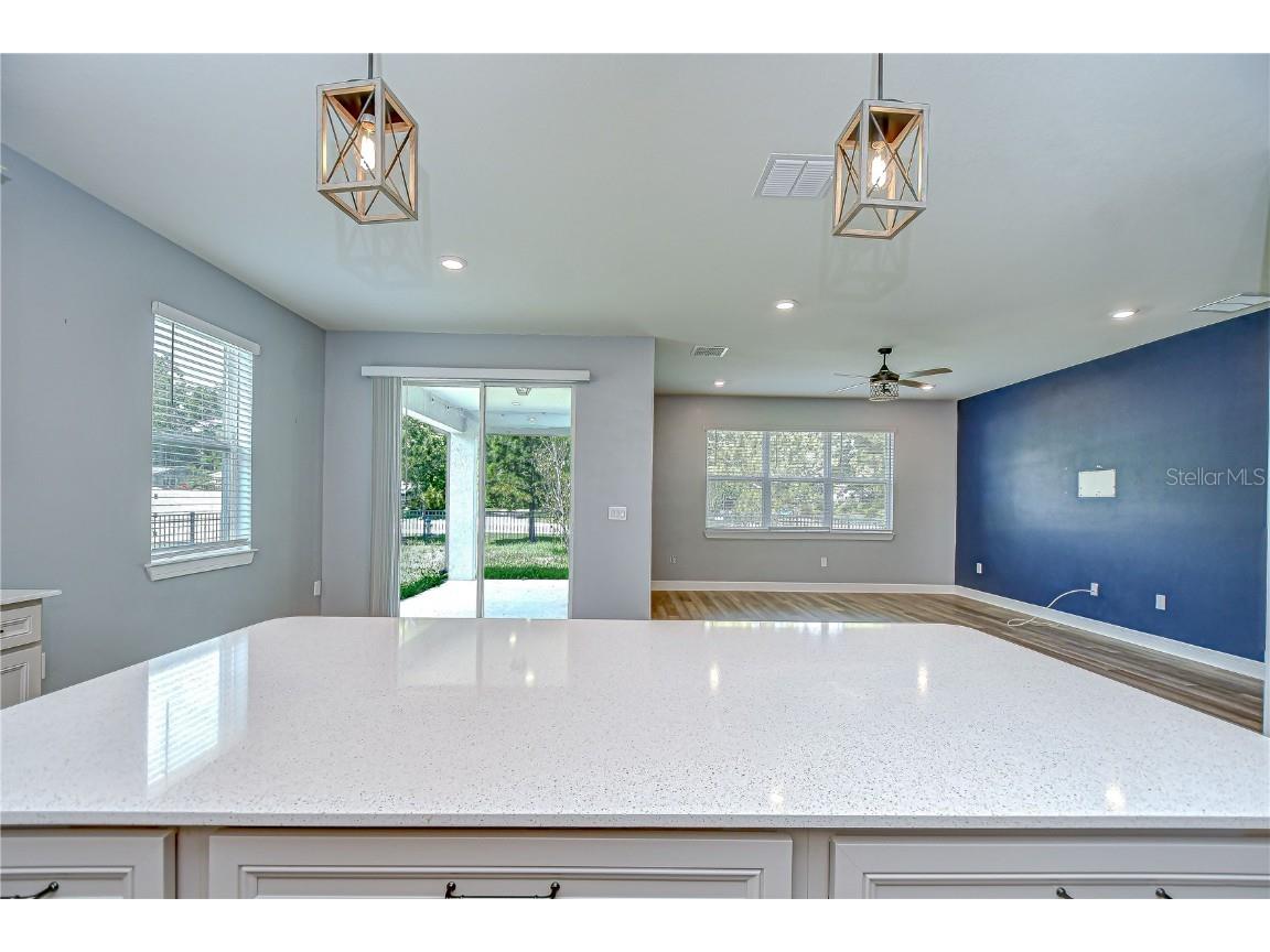 6119 Bradford Woods Drive Zephyrhills FL 33542 TB8390747 image8