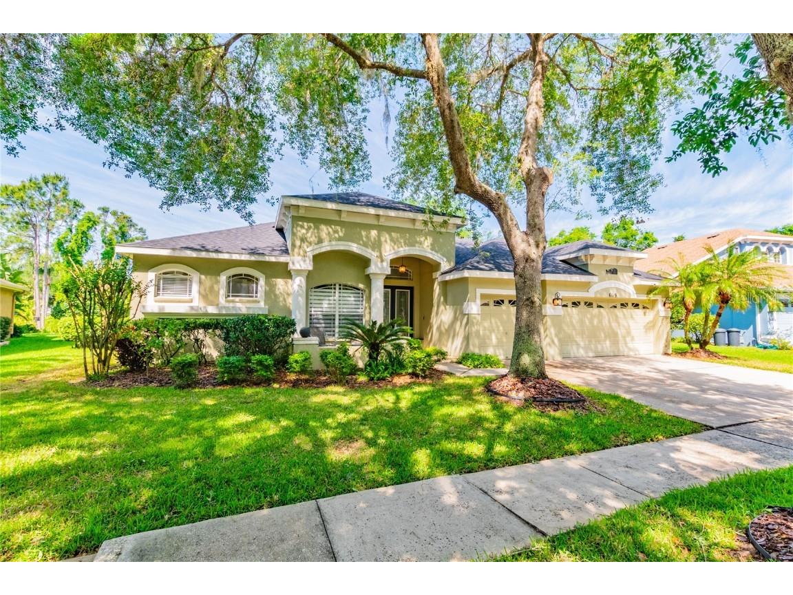 6119 Vireoridge Drive Lithia FL 33547 T3529222 image1