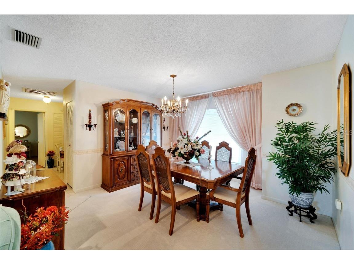 612 Allegheny Drive Sun City Center FL 33573 TB8350554 image14