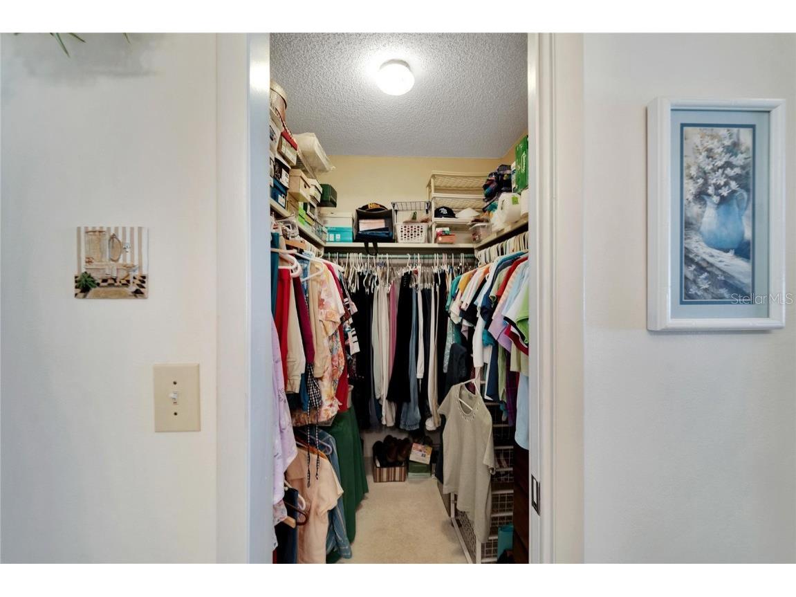 612 Allegheny Drive Sun City Center FL 33573 TB8350554 image25