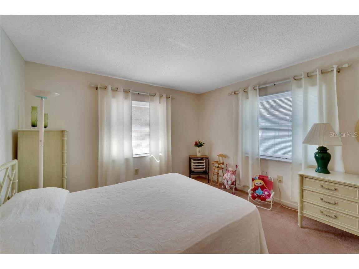 612 Allegheny Drive Sun City Center FL 33573 TB8350554 image26