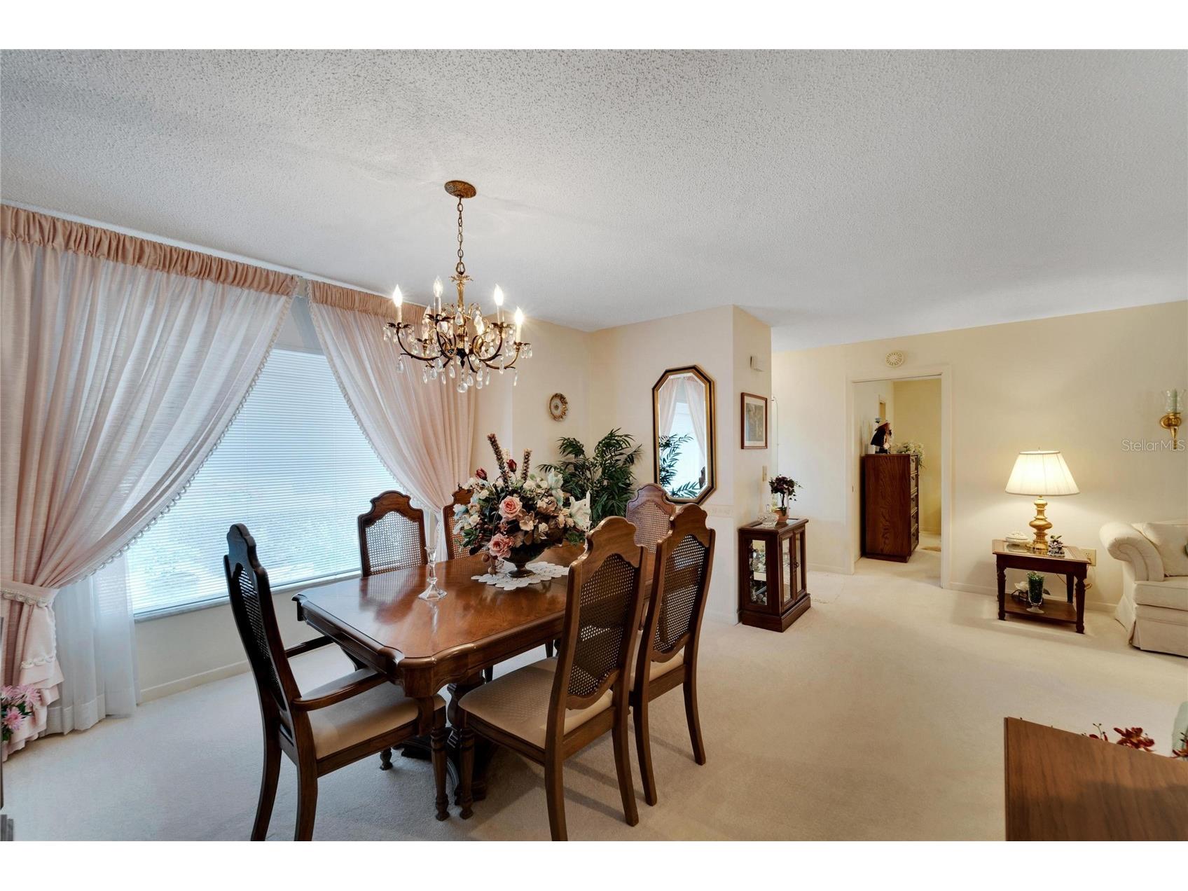 612 Allegheny Drive Sun City Center FL 33573 TB8503257 image11