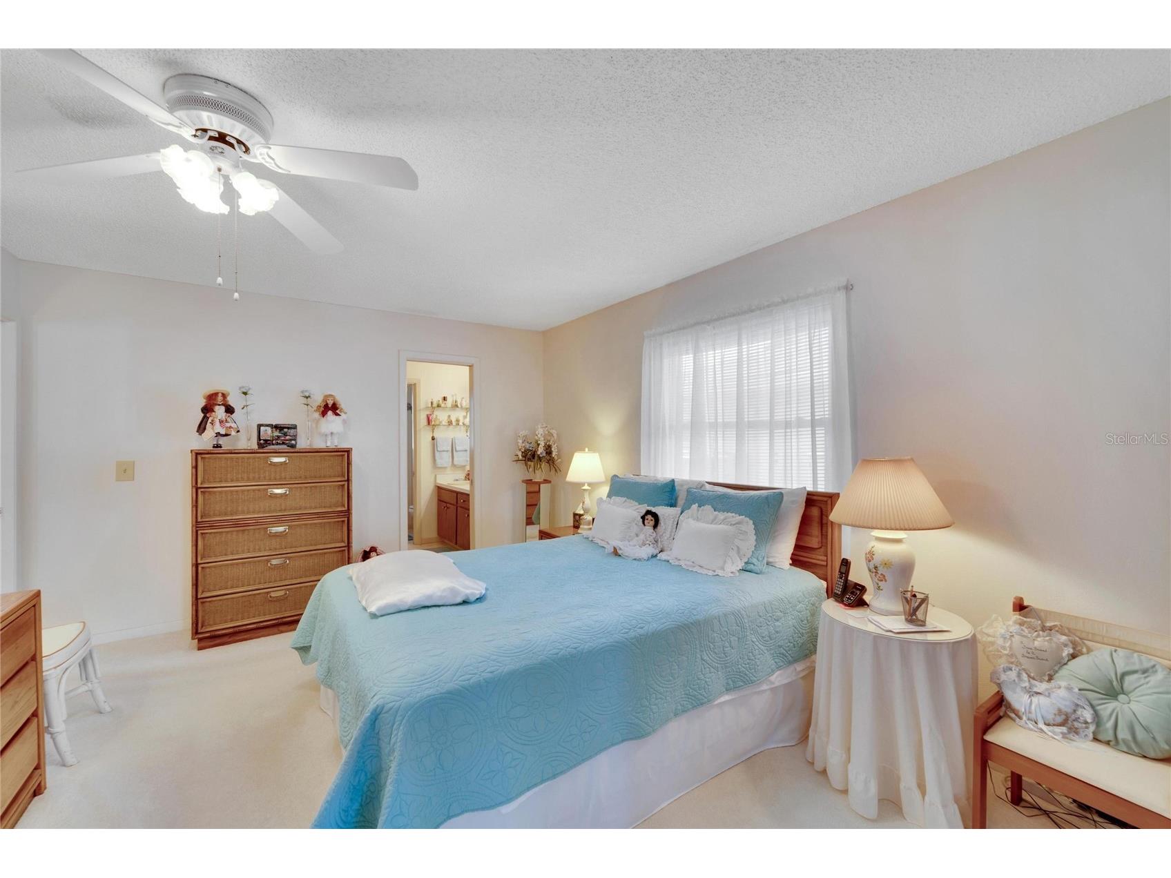 612 Allegheny Drive Sun City Center FL 33573 TB8503257 image21