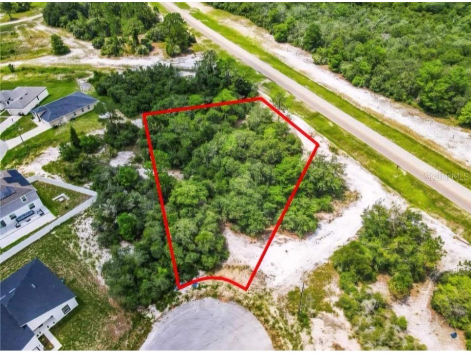 612 Amazon Place Kissimmee FL 34759 TB8419428 image3