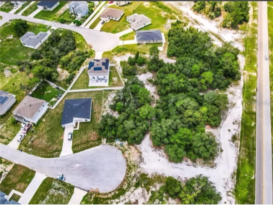 612 Amazon Place Kissimmee FL 34759 TB8419428 image6