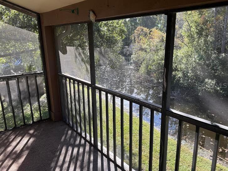 612 Baldwin Avenue #C Safety Harbor FL 34695 TB8451646 image10