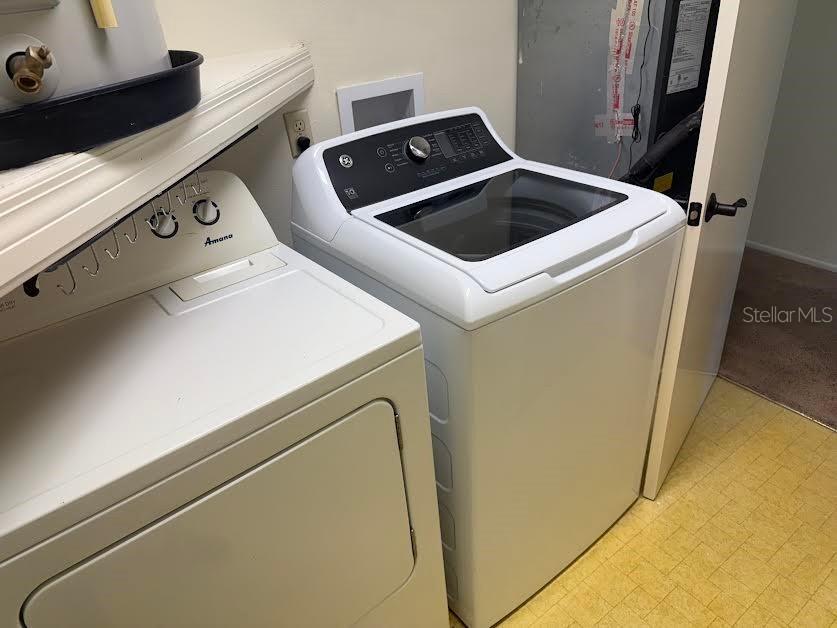 612 Baldwin Avenue #C Safety Harbor FL 34695 TB8451646 image17