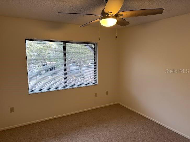 612 Baldwin Avenue #C Safety Harbor FL 34695 TB8451646 image19