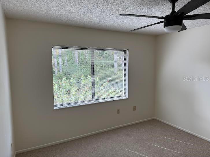 612 Baldwin Avenue #C Safety Harbor FL 34695 TB8451646 image21