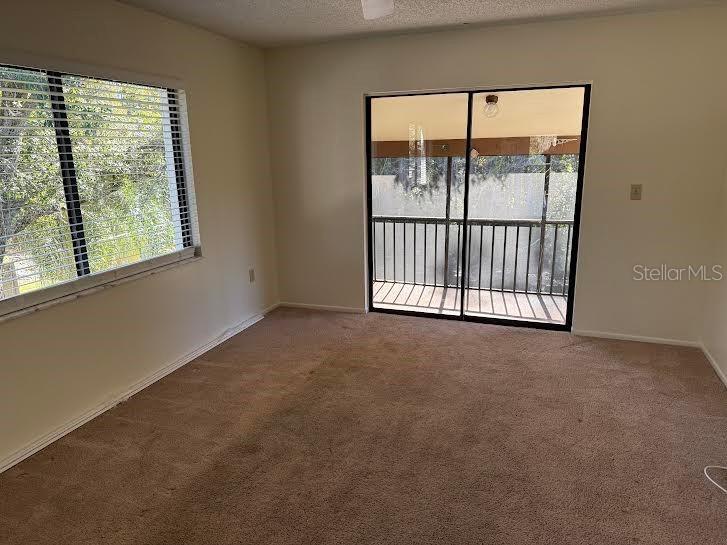 612 Baldwin Avenue #C Safety Harbor FL 34695 TB8451646 image9