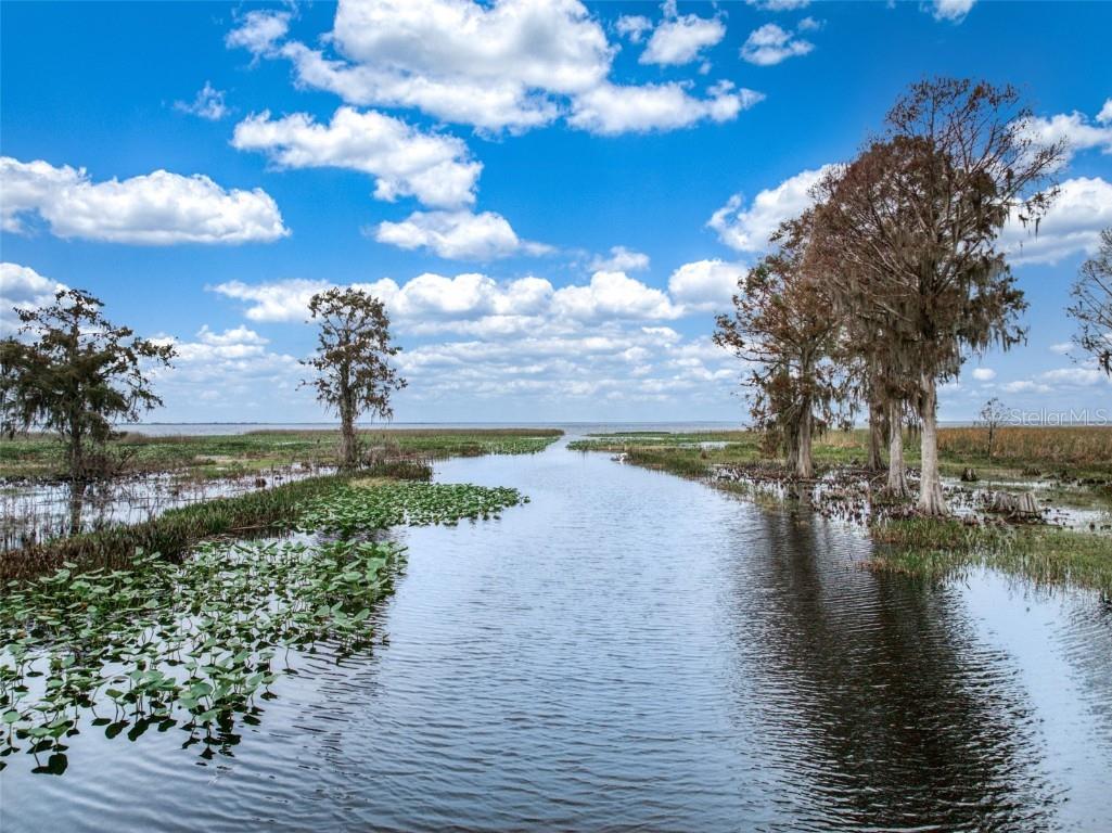 612 Dragonfly Lane Lorida FL 33857 - LAKE ISTOKPOGA P4936585 image7