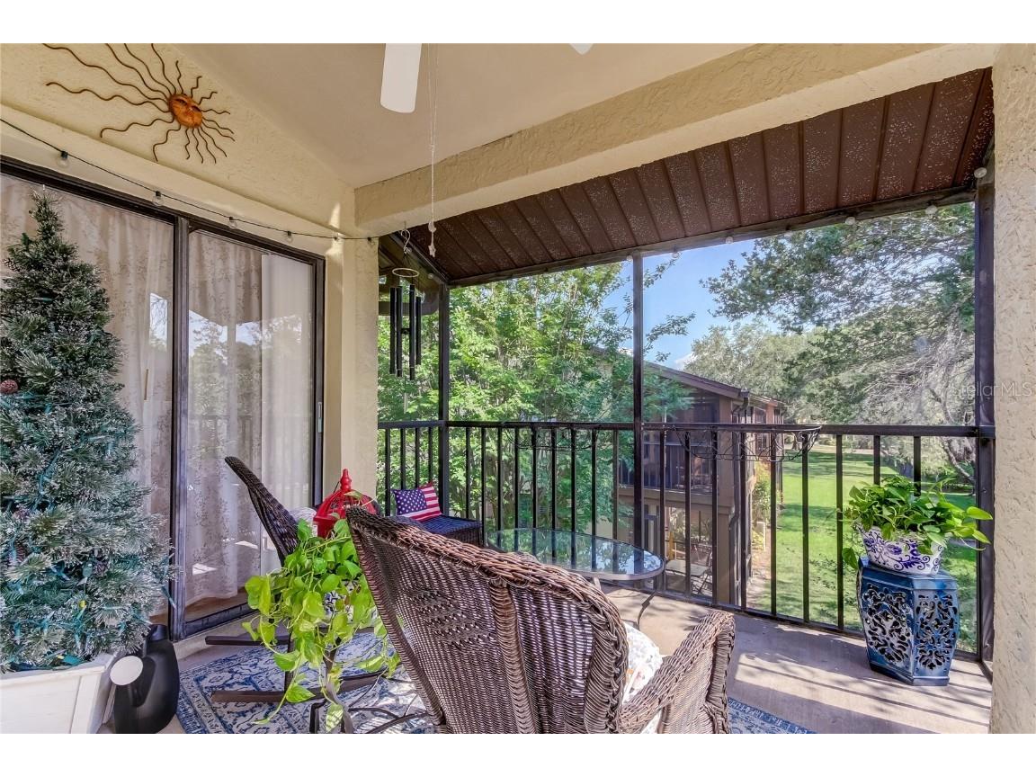 612 Fairmont Ave #D Safety Harbor FL 34695 TB8371465 image25