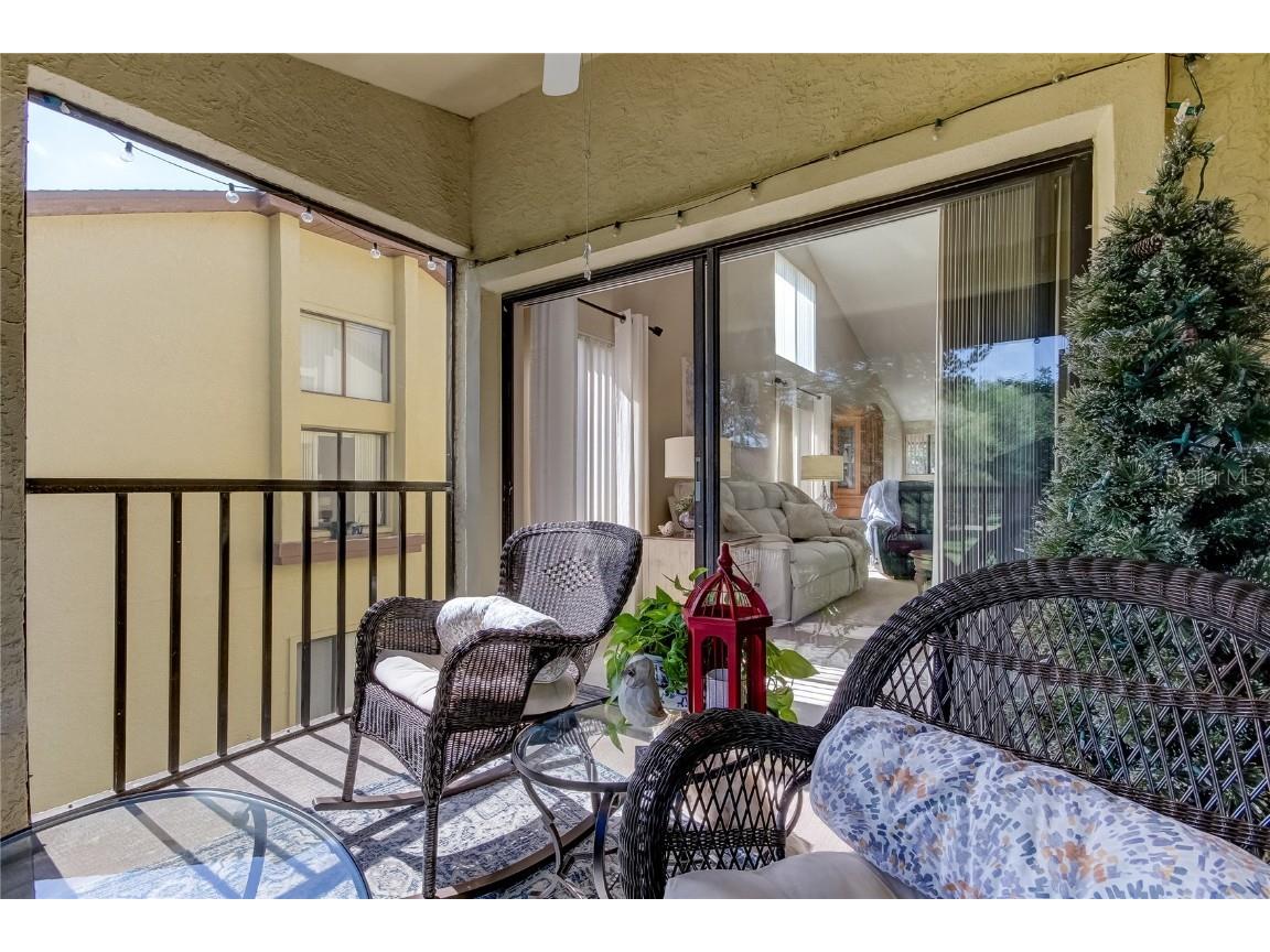 612 Fairmont Ave #D Safety Harbor FL 34695 TB8371465 image27