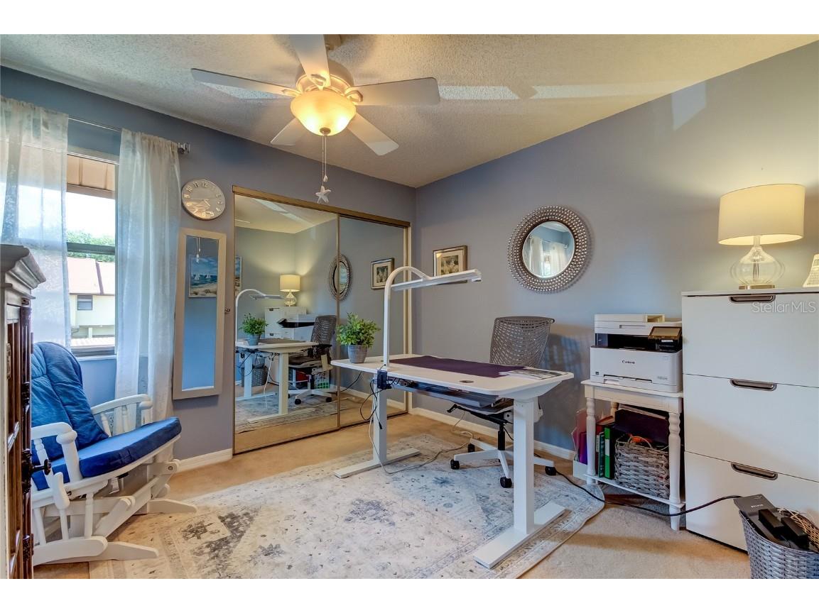 612 Fairmont Ave #D Safety Harbor FL 34695 TB8371465 image38