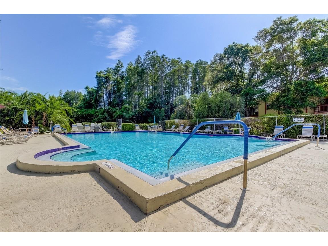 612 Fairmont Ave #D Safety Harbor FL 34695 TB8371465 image44