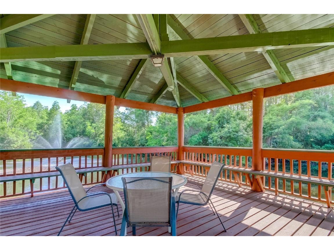 612 Fairmont Ave #D Safety Harbor FL 34695 TB8371465 image45