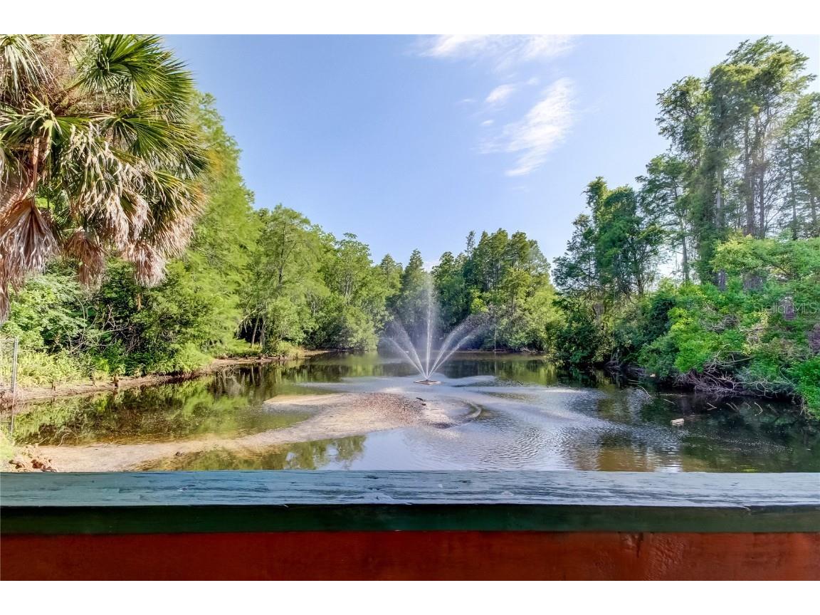 612 Fairmont Ave #D Safety Harbor FL 34695 TB8371465 image46