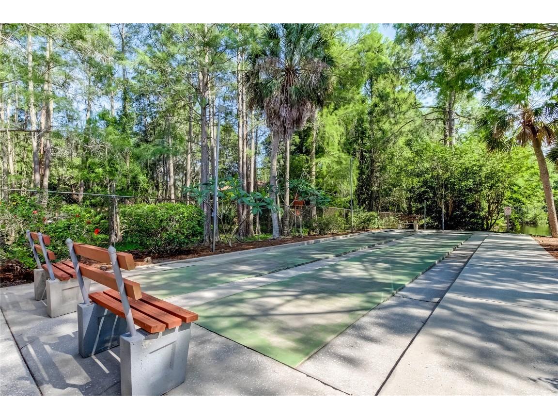 612 Fairmont Ave #D Safety Harbor FL 34695 TB8371465 image47