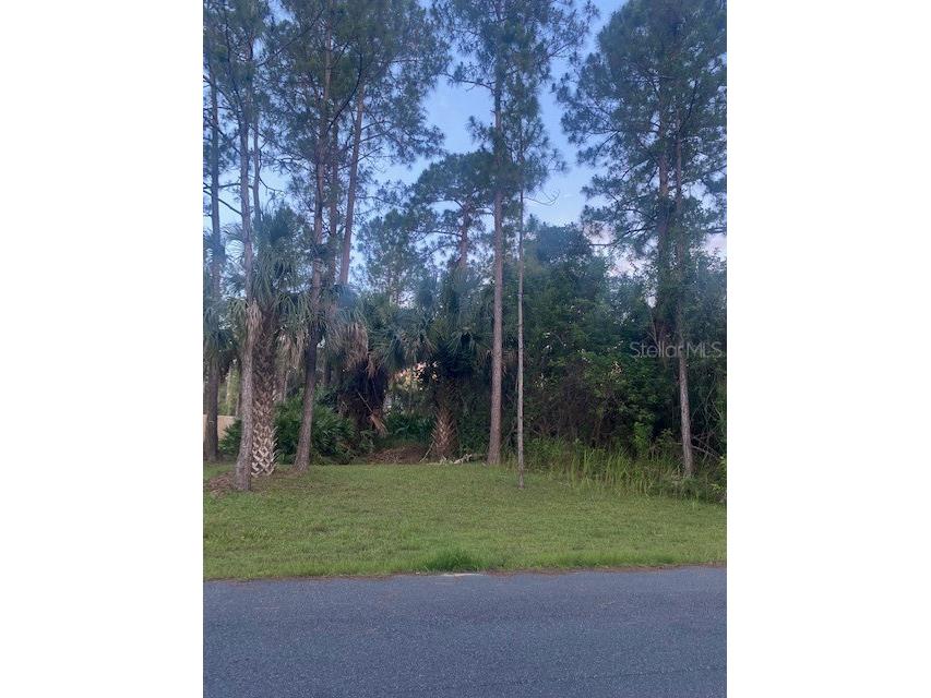 612 Gagnon Street SE Palm Bay FL 32909 O6121344 image1