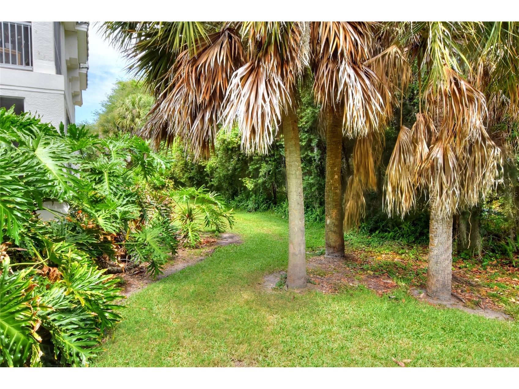 612 Grasslands Village Circle #612 Lakeland FL 33803 P4938562 image46