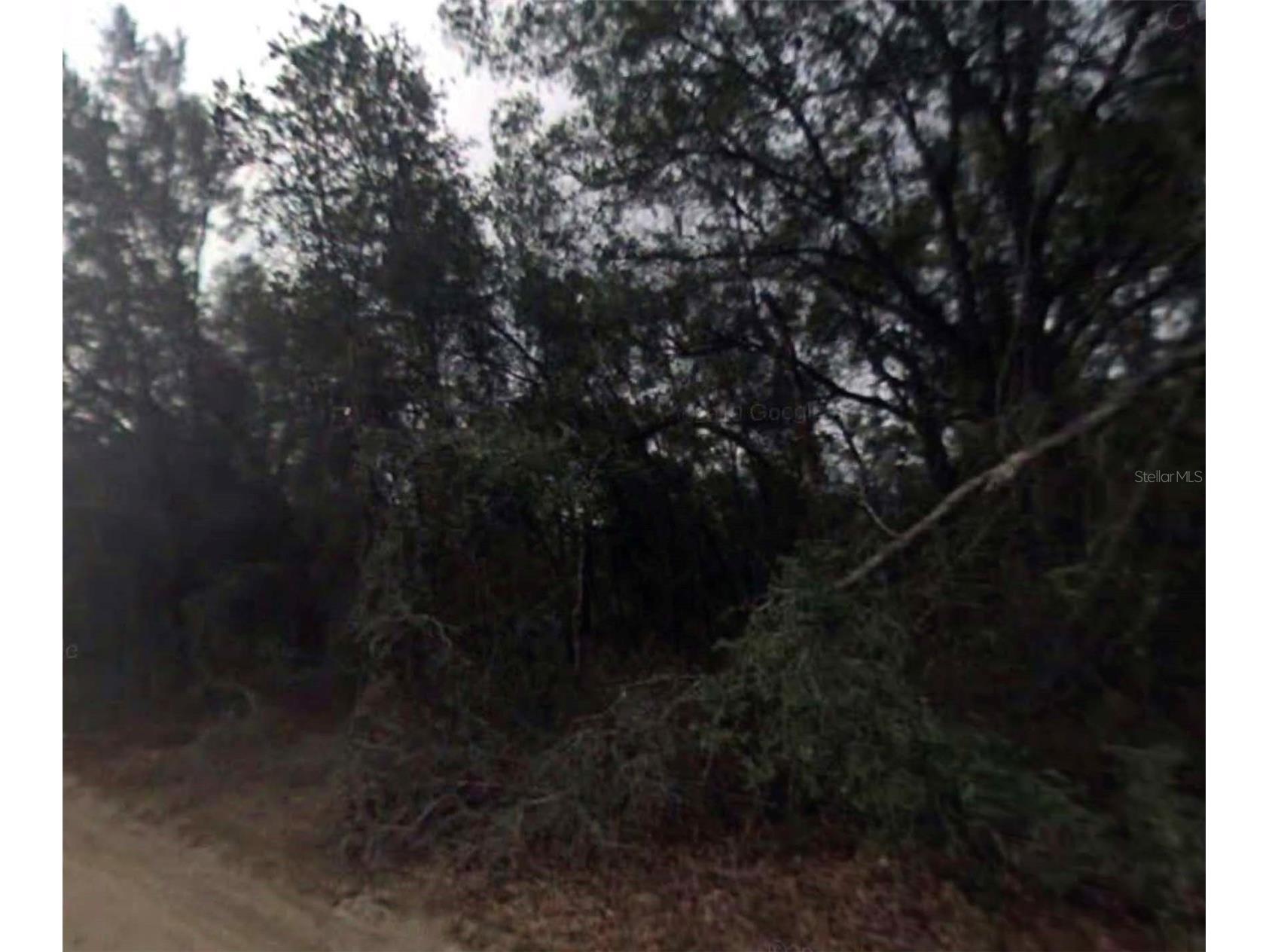 612 Longwood Avenue Inverness FL 34453 O6401363 image1