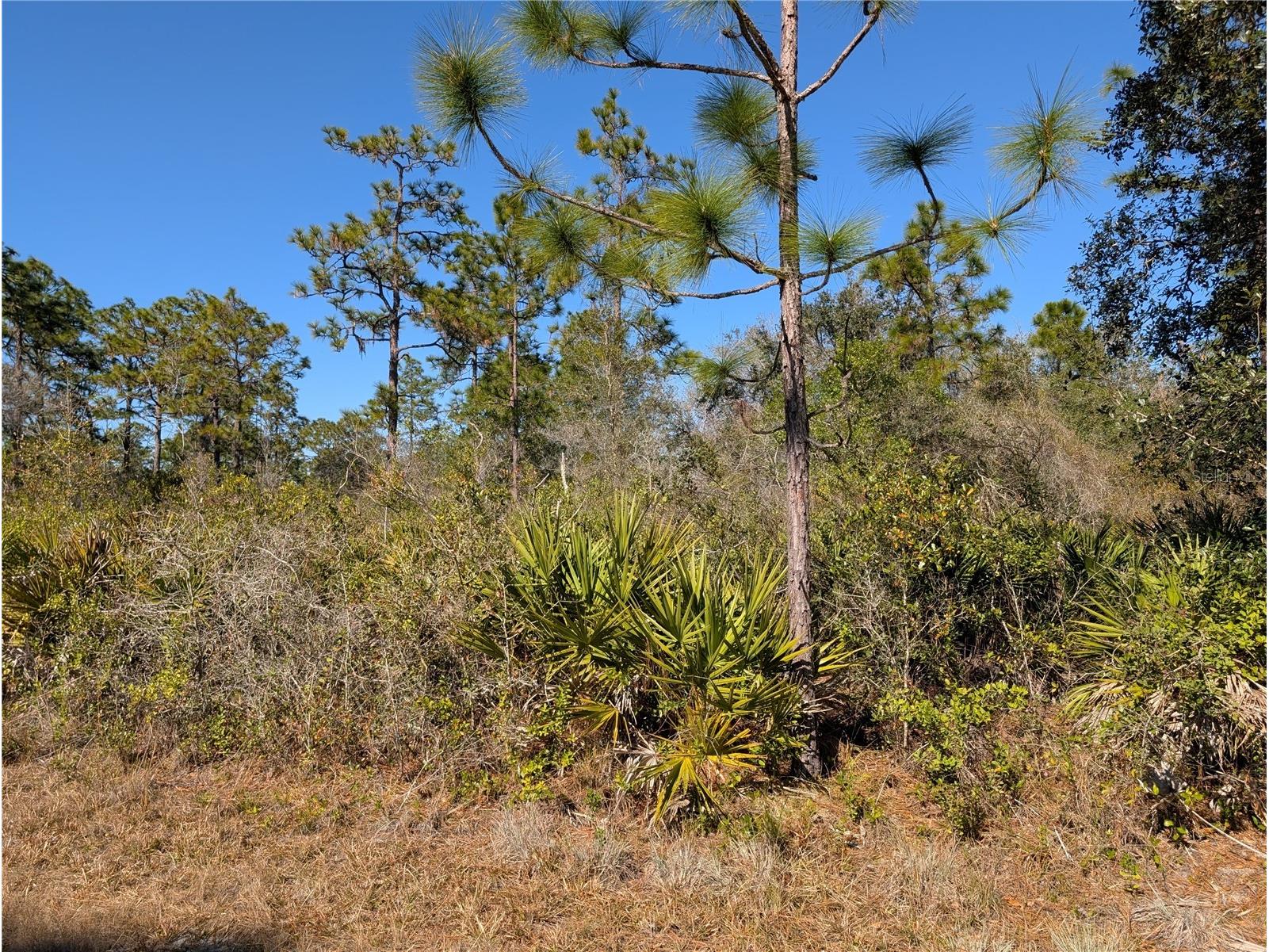 612 Magnolia Drive Indian Lake Estates FL 33855 - LAKE WALK-IN-WATER P4937466 image1