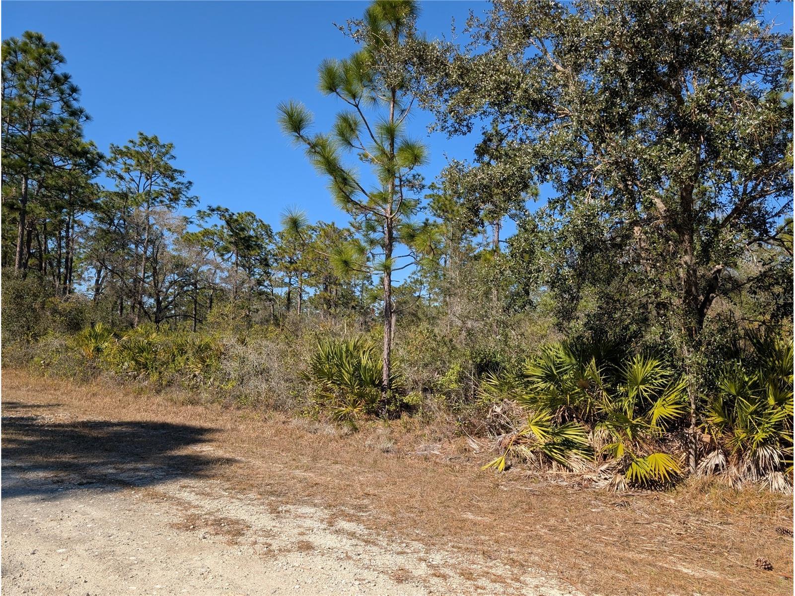 612 Magnolia Drive Indian Lake Estates FL 33855 - LAKE WALK-IN-WATER P4937466 image2