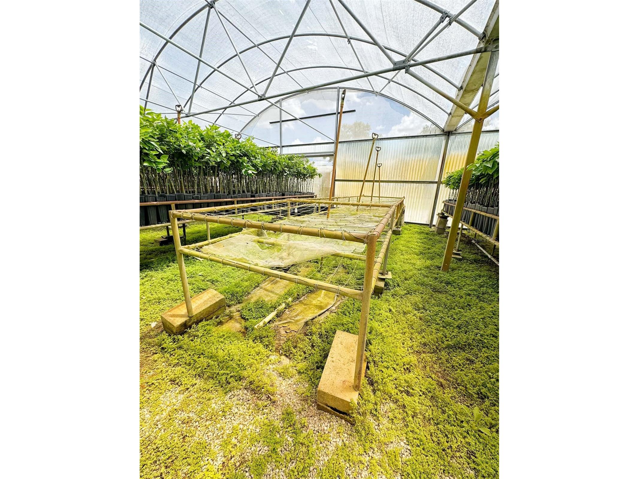 612 Morgan Road Winter Haven FL 33880 TB8502352 image26