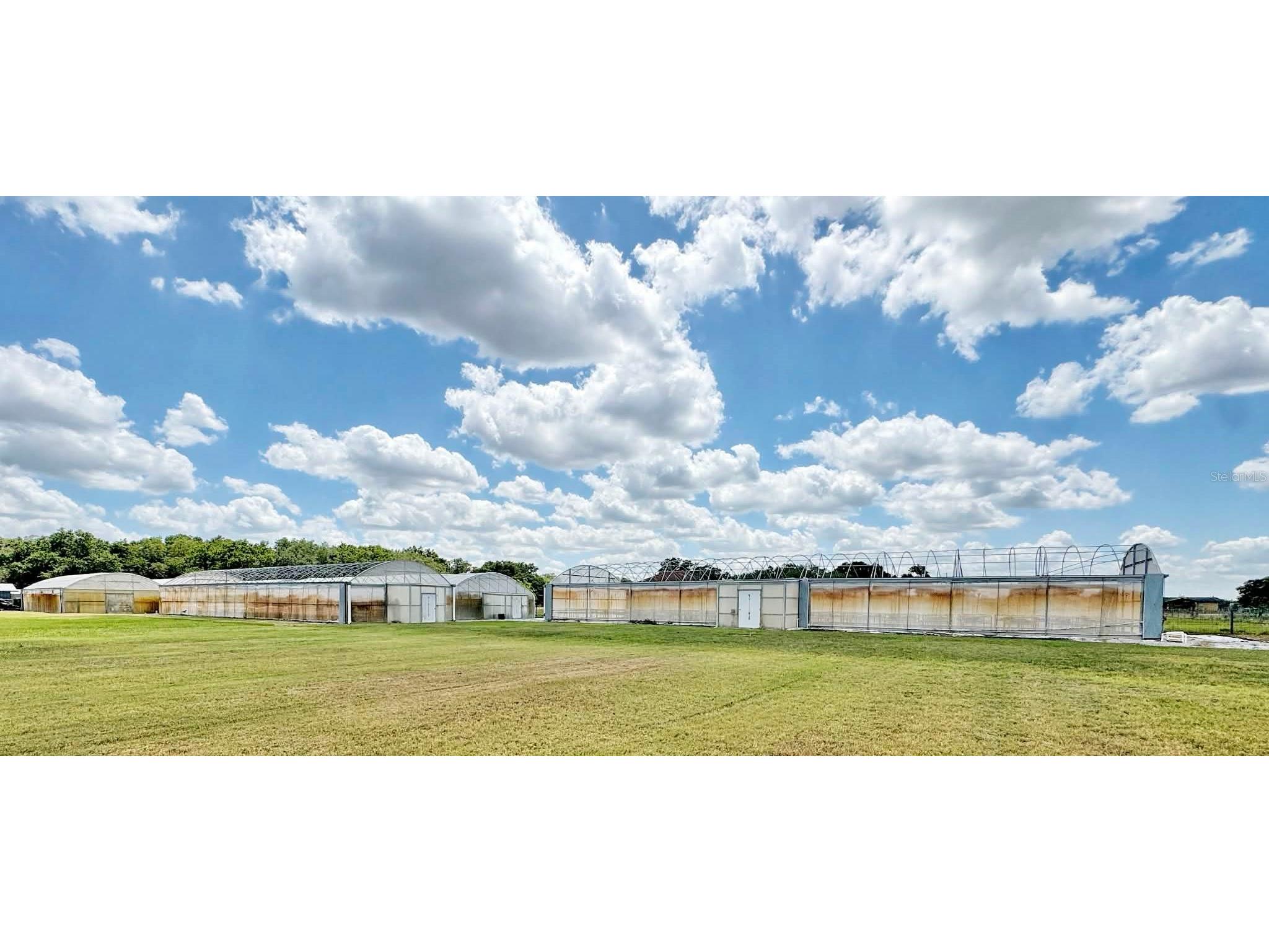 612 Morgan Road Winter Haven FL 33880 TB8502352 image28