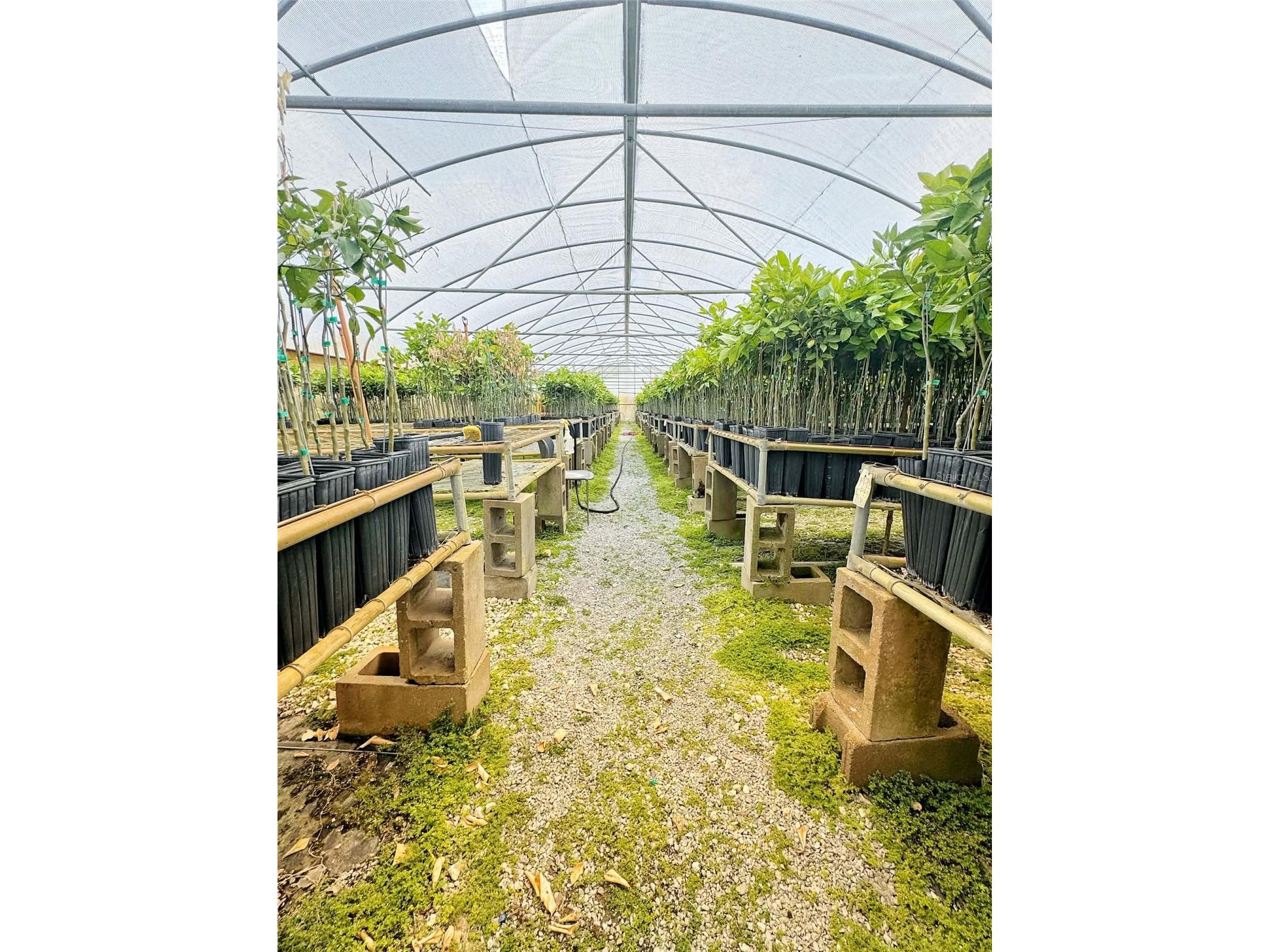 612 Morgan Road Winter Haven FL 33880 TB8502352 image32