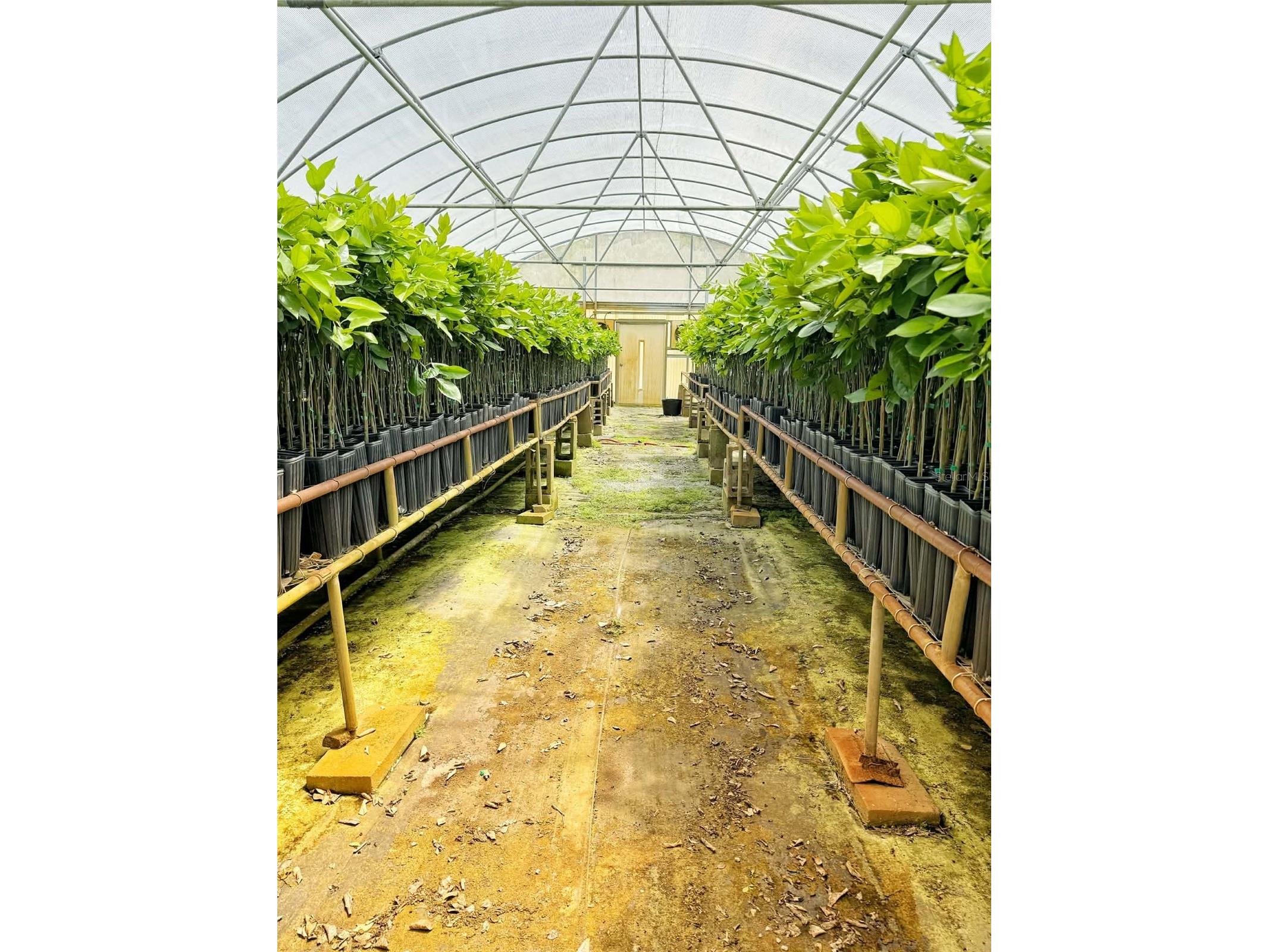 612 Morgan Road Winter Haven FL 33880 TB8502352 image4
