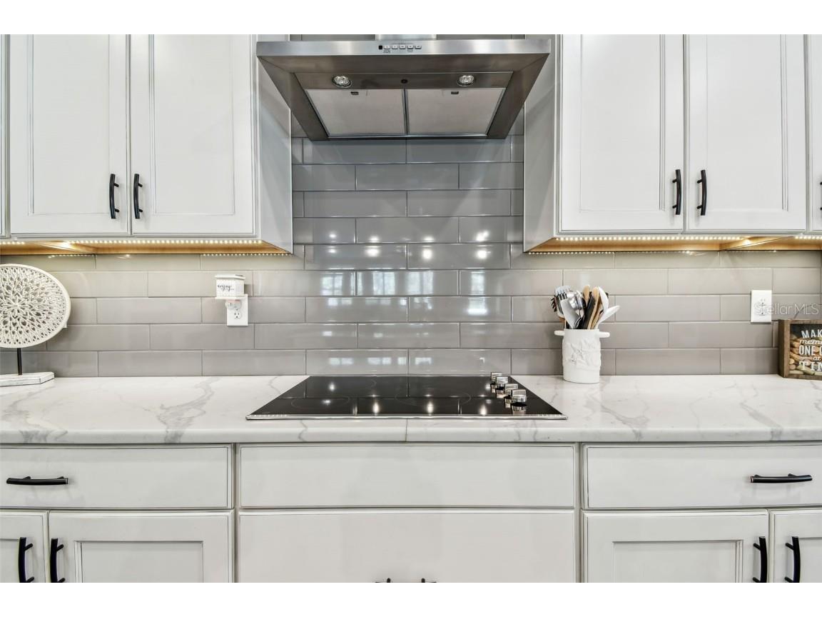 612 Ozona Village Dr Palm Harbor FL 34683 TB8380862 image17