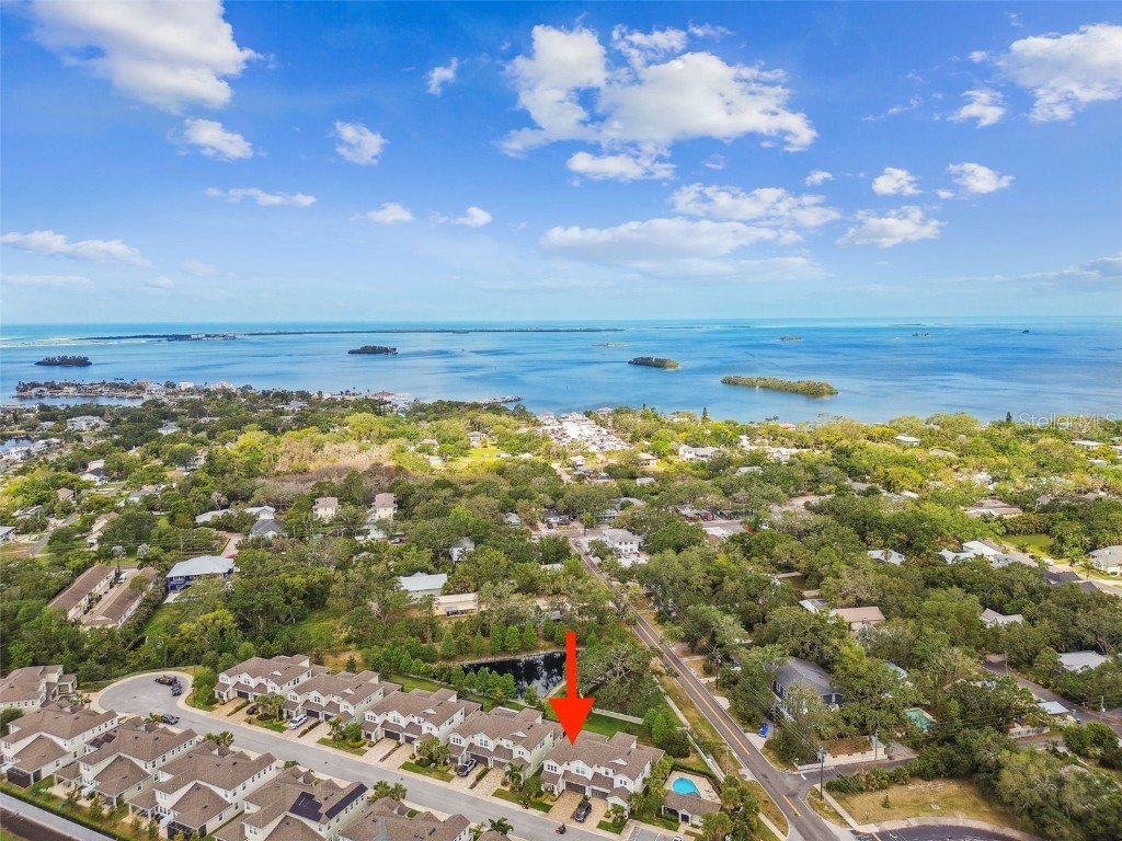 612 Ozona Village Dr Palm Harbor FL 34683 TB8380862 image2