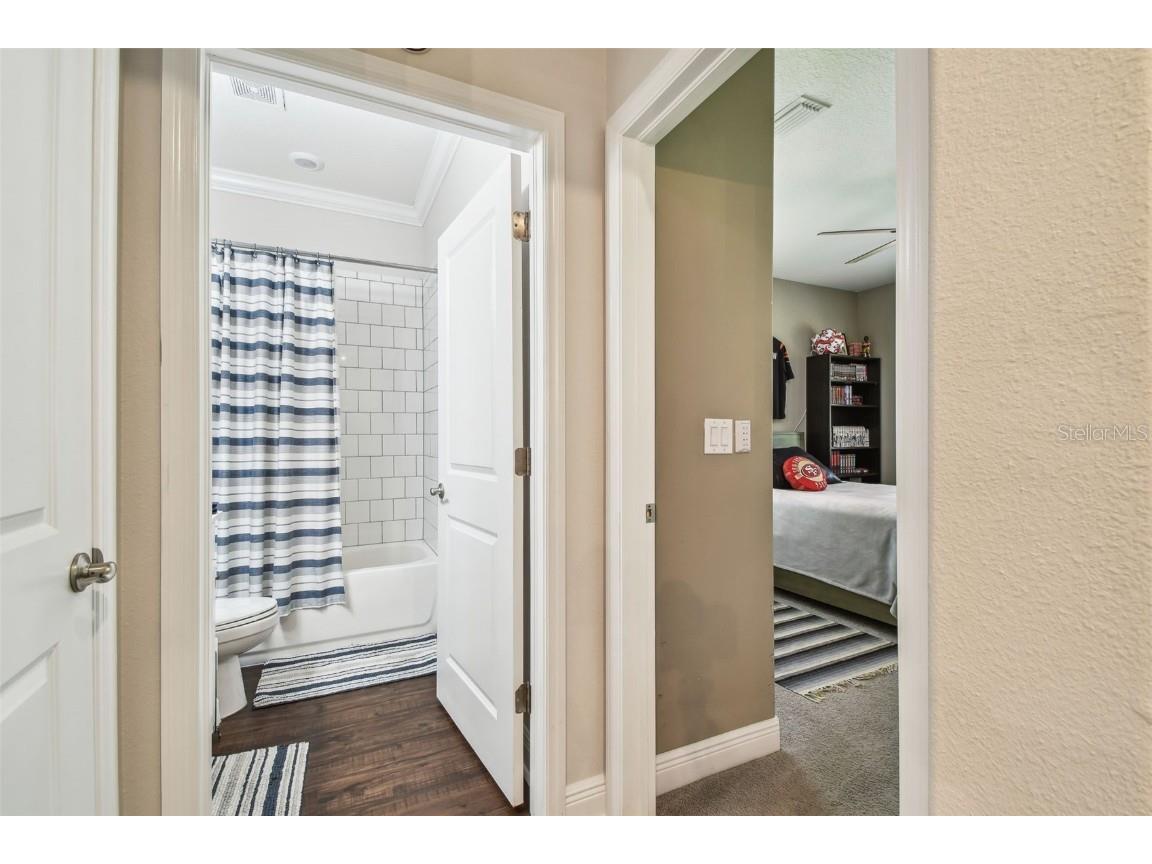 612 Ozona Village Dr Palm Harbor FL 34683 TB8380862 image24