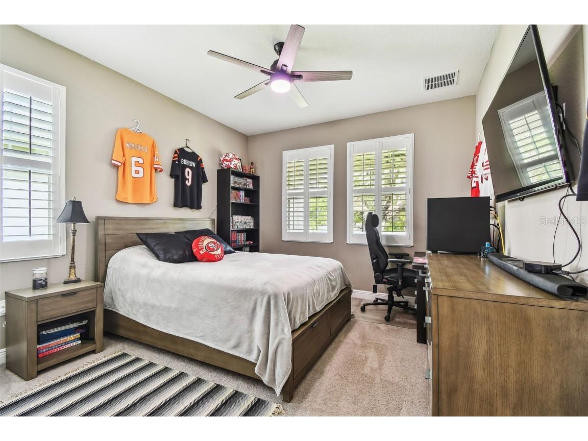 612 Ozona Village Dr Palm Harbor FL 34683 TB8380862 image25