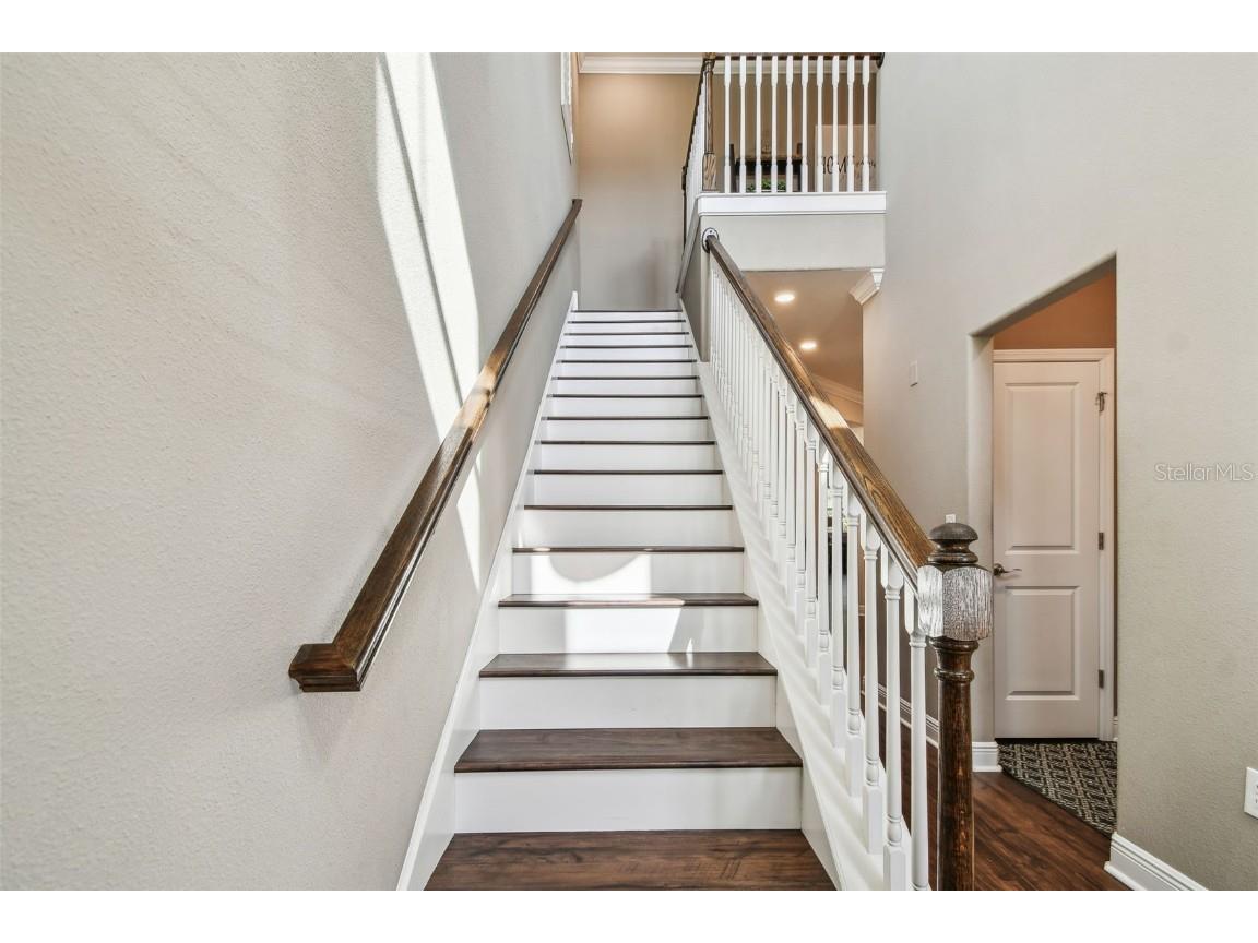 612 Ozona Village Dr Palm Harbor FL 34683 TB8380862 image29