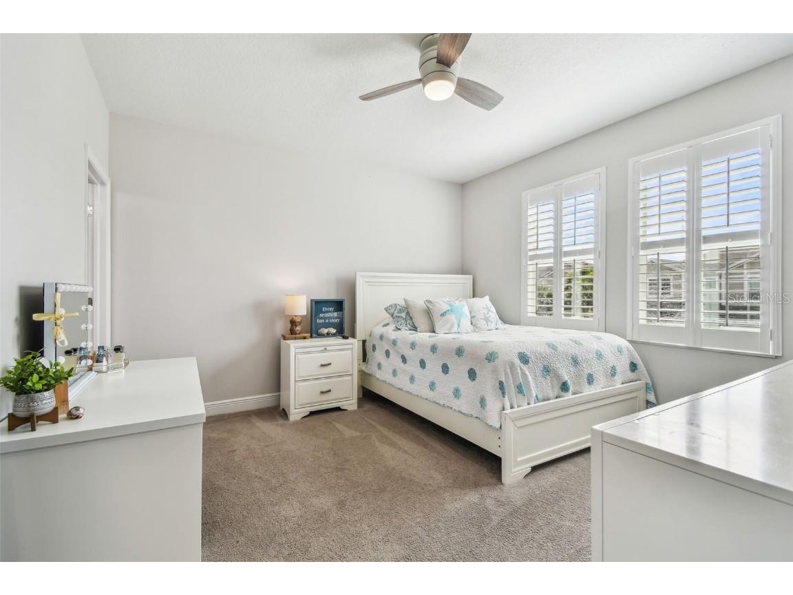 612 Ozona Village Dr Palm Harbor FL 34683 TB8380862 image32