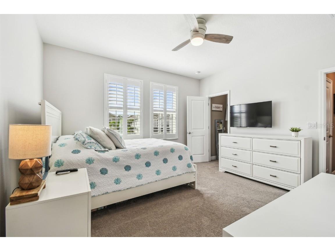 612 Ozona Village Dr Palm Harbor FL 34683 TB8380862 image33