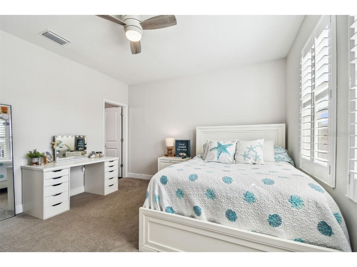 612 Ozona Village Dr Palm Harbor FL 34683 TB8380862 image34