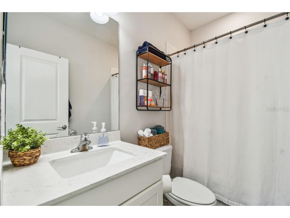 612 Ozona Village Dr Palm Harbor FL 34683 TB8380862 image36