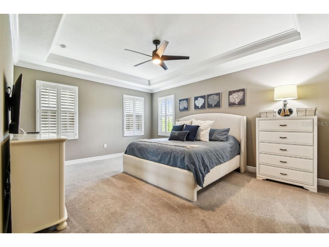 612 Ozona Village Dr Palm Harbor FL 34683 TB8380862 image38